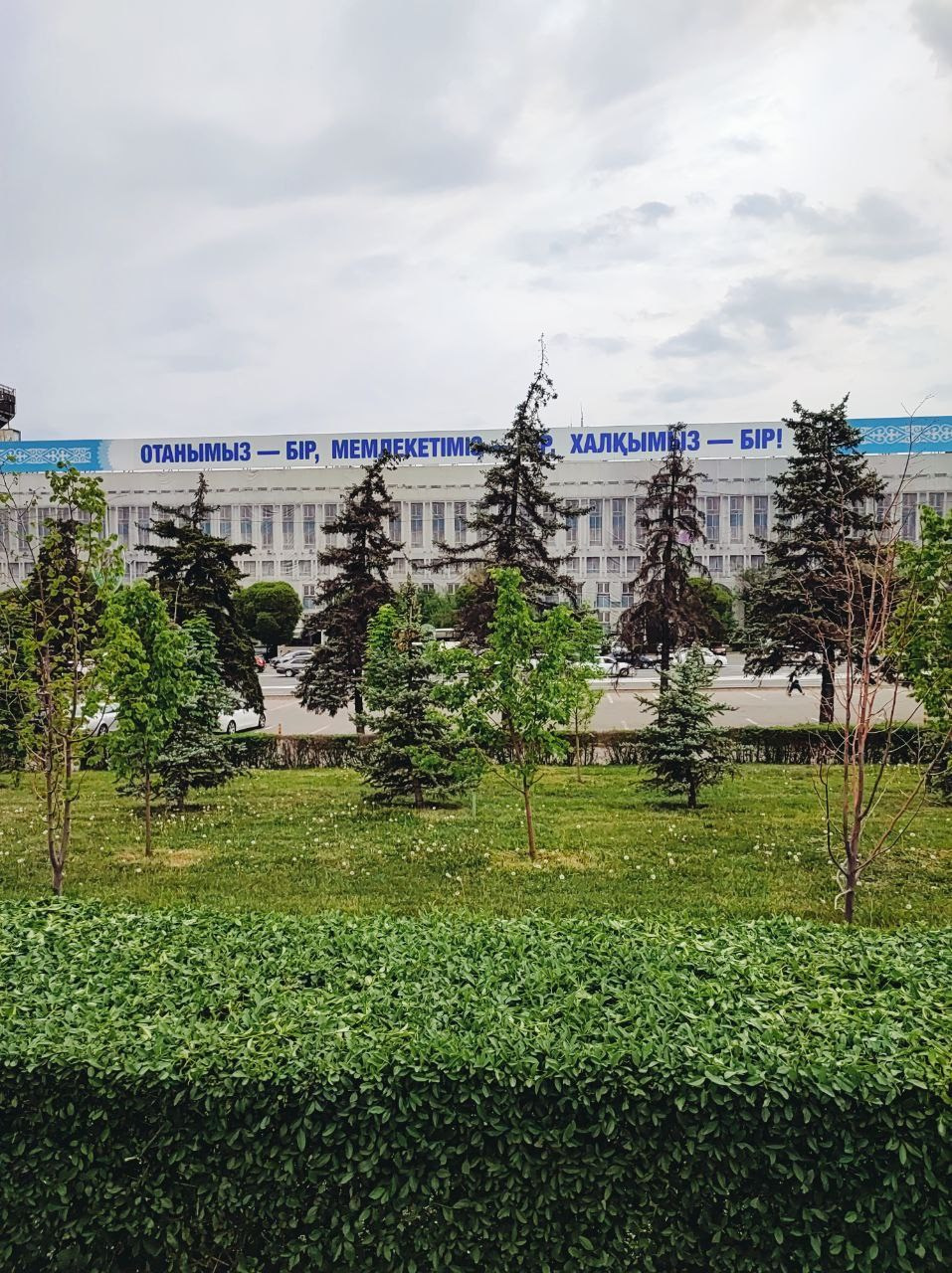 Намобилкус казахский. Репортажный фотограф Алексей Пирязев