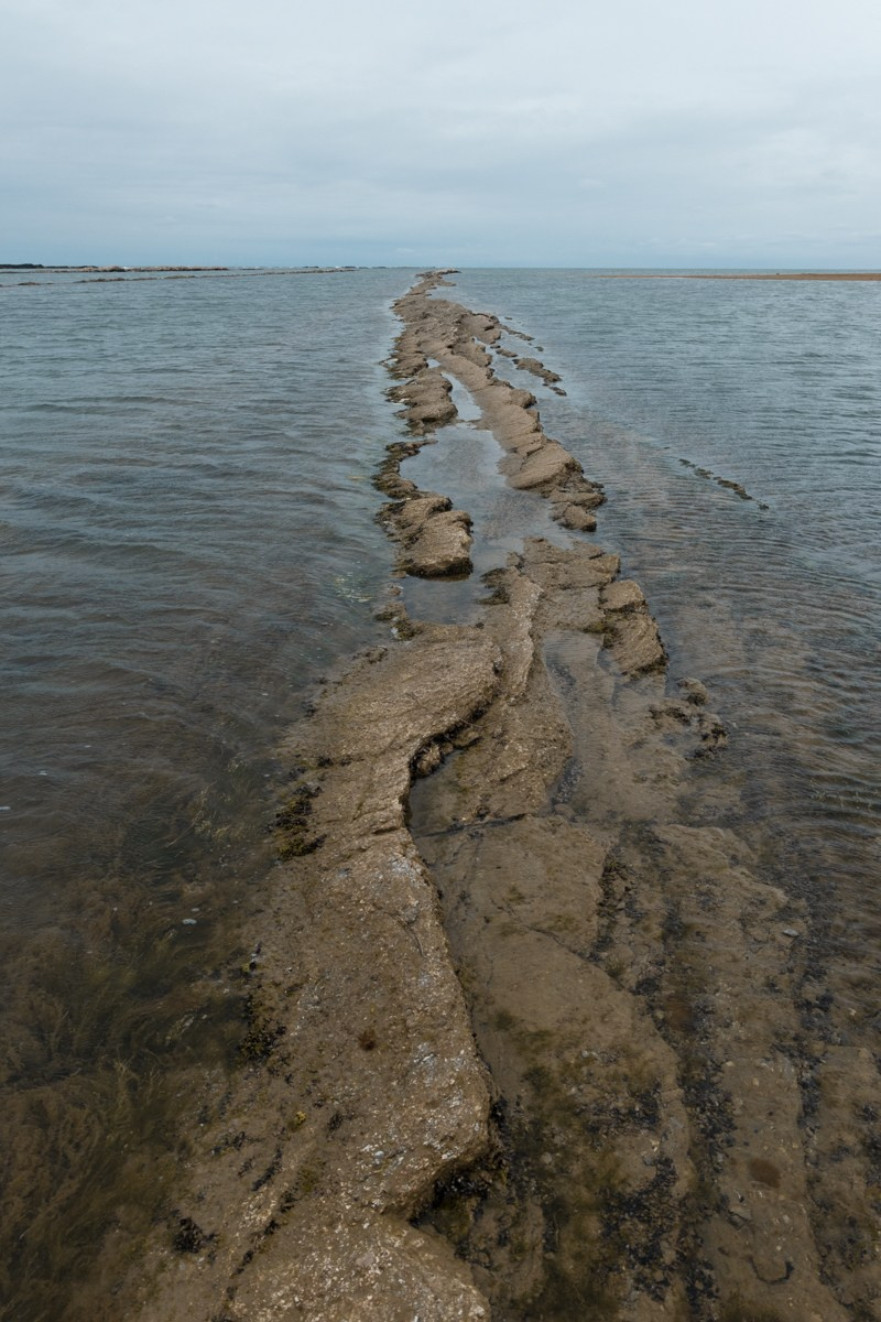 Избербаш. Photomantis