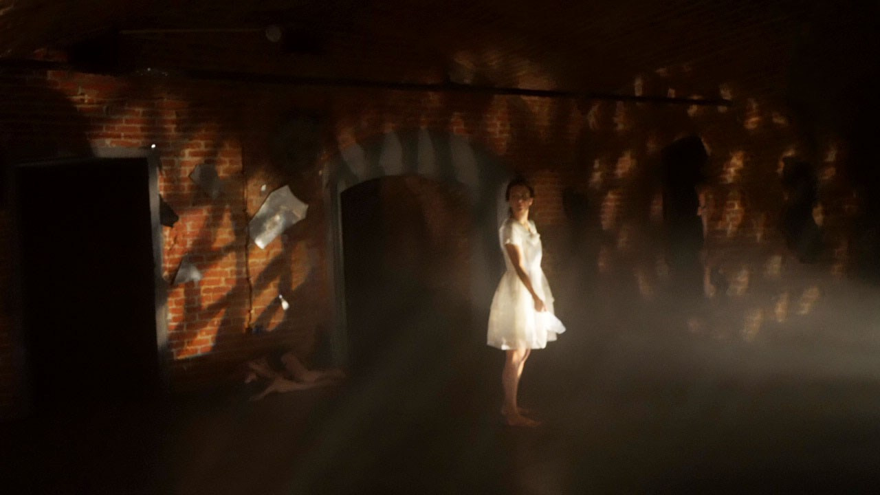 Красное дерево. Фото / Видеосъемка в Москве