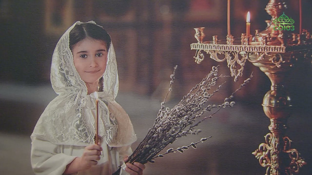 Видео с фотовыставок, где участвовали мои работы. Фотограф Алёна Потёмкина