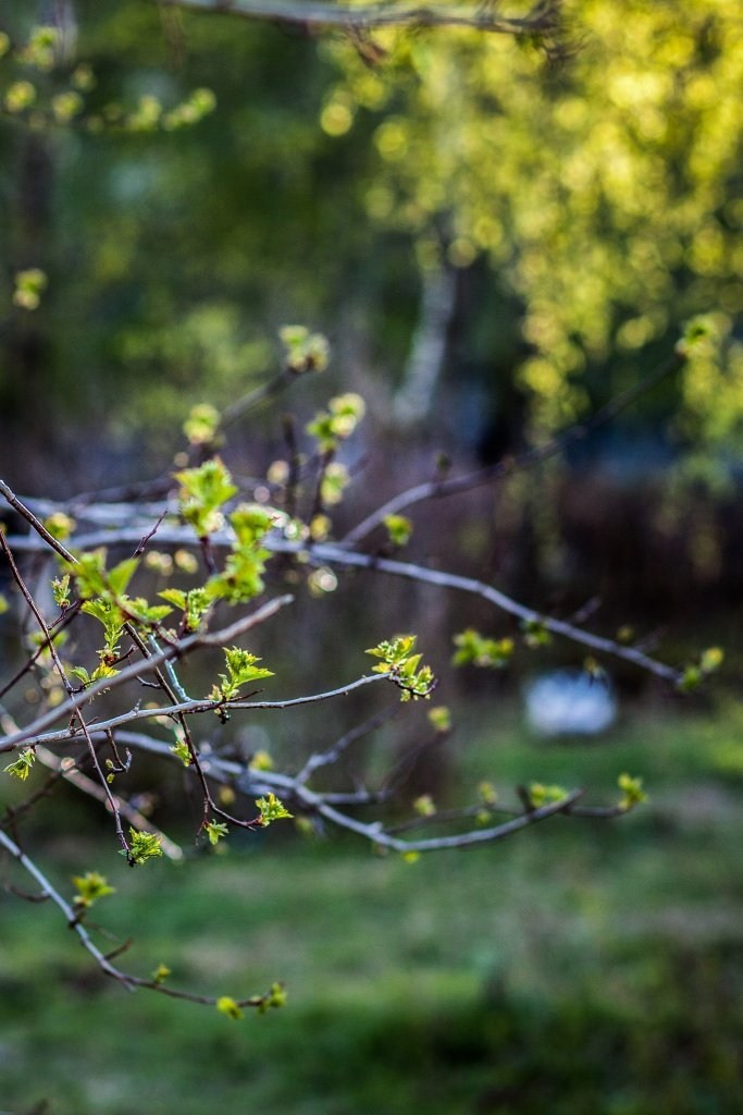 Моменты 2011-2016. Анастасия Либерти