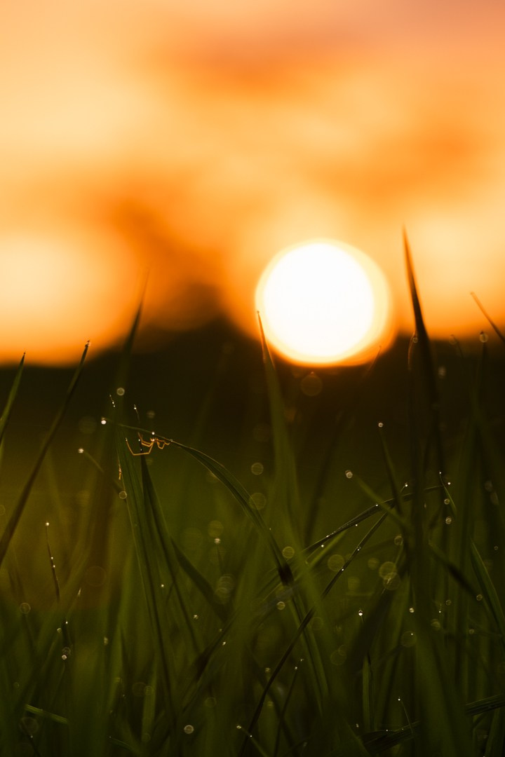 Bali. Indonesia. Photographer in Tokyo Anatolii Ozarto