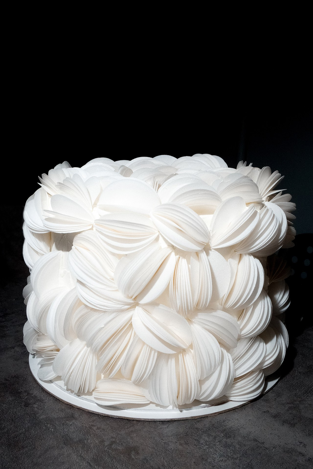 Репортаж дня рождения сообщества. Светский фотограф Санкт-Петербург и ЛО