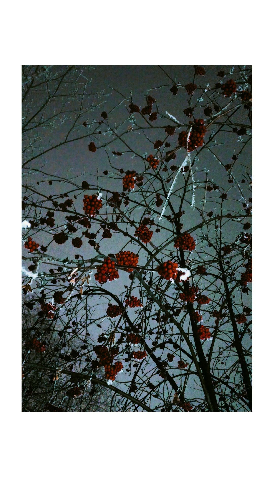 Зима по-сибирски. Главная