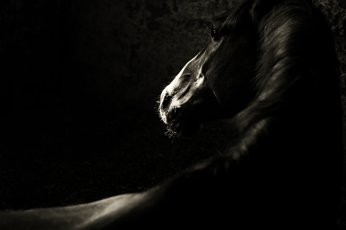 Линии. Фотограф в Москве Дудкова Юлия