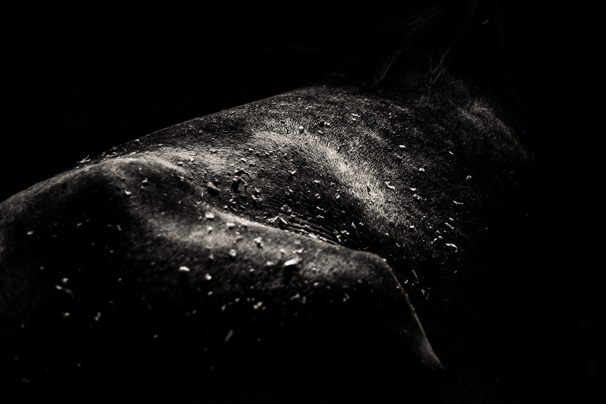 Линии. Фотограф в Москве Дудкова Юлия