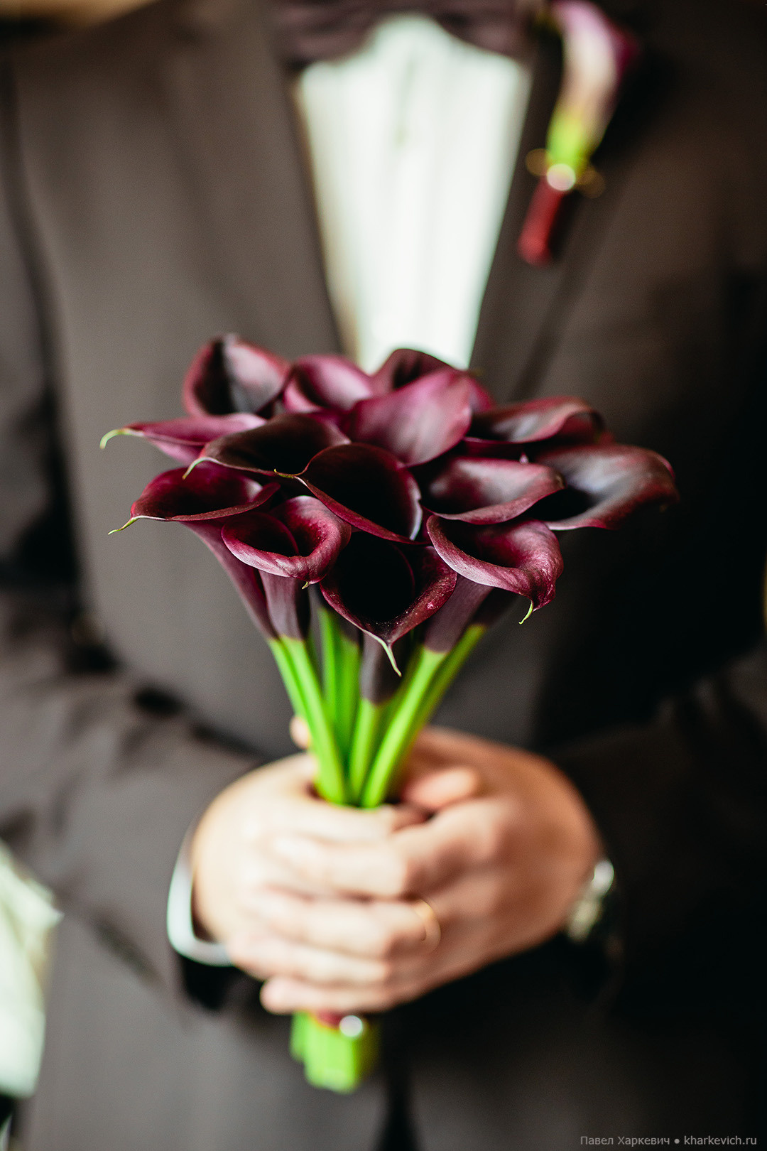 Свадьба — ЗОЛОТАЯ ОСЕНЬ. Фото-видео студия WEDDING ART