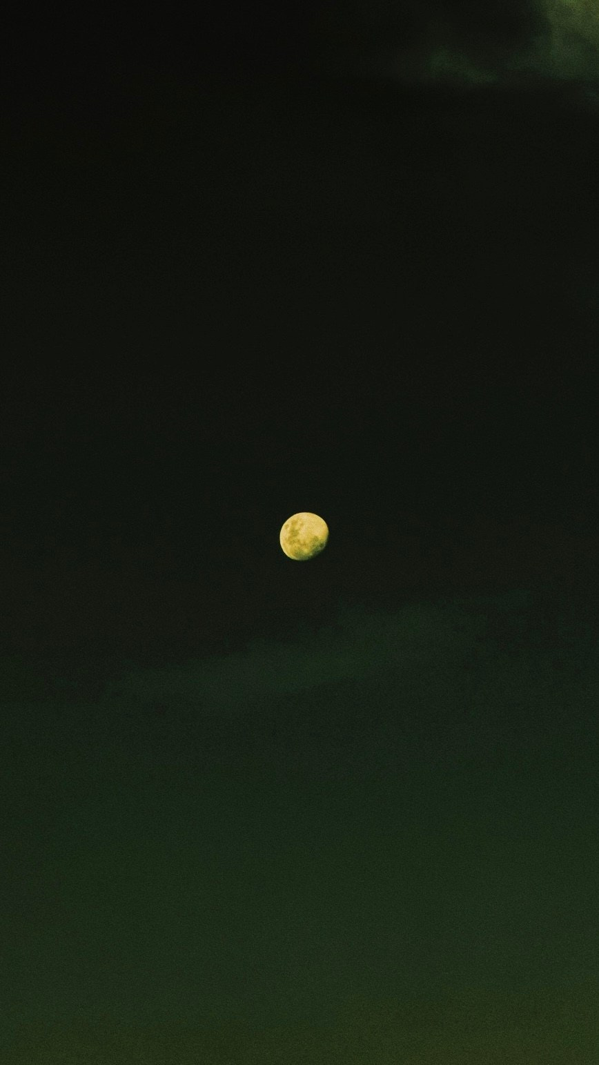 With open eyes. Carolinetru