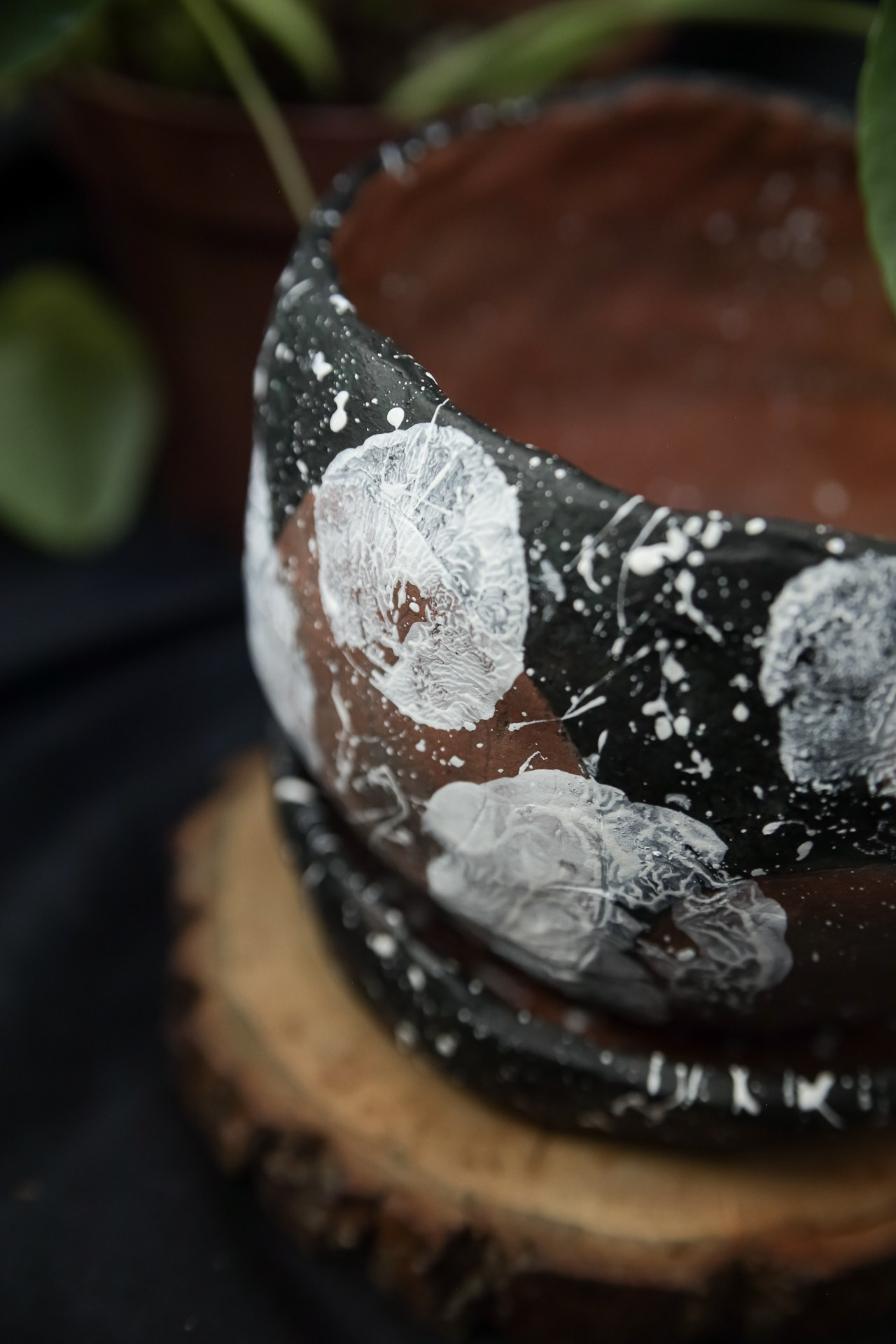 Горшок «Пилея» 1000 р. Катя Цвет