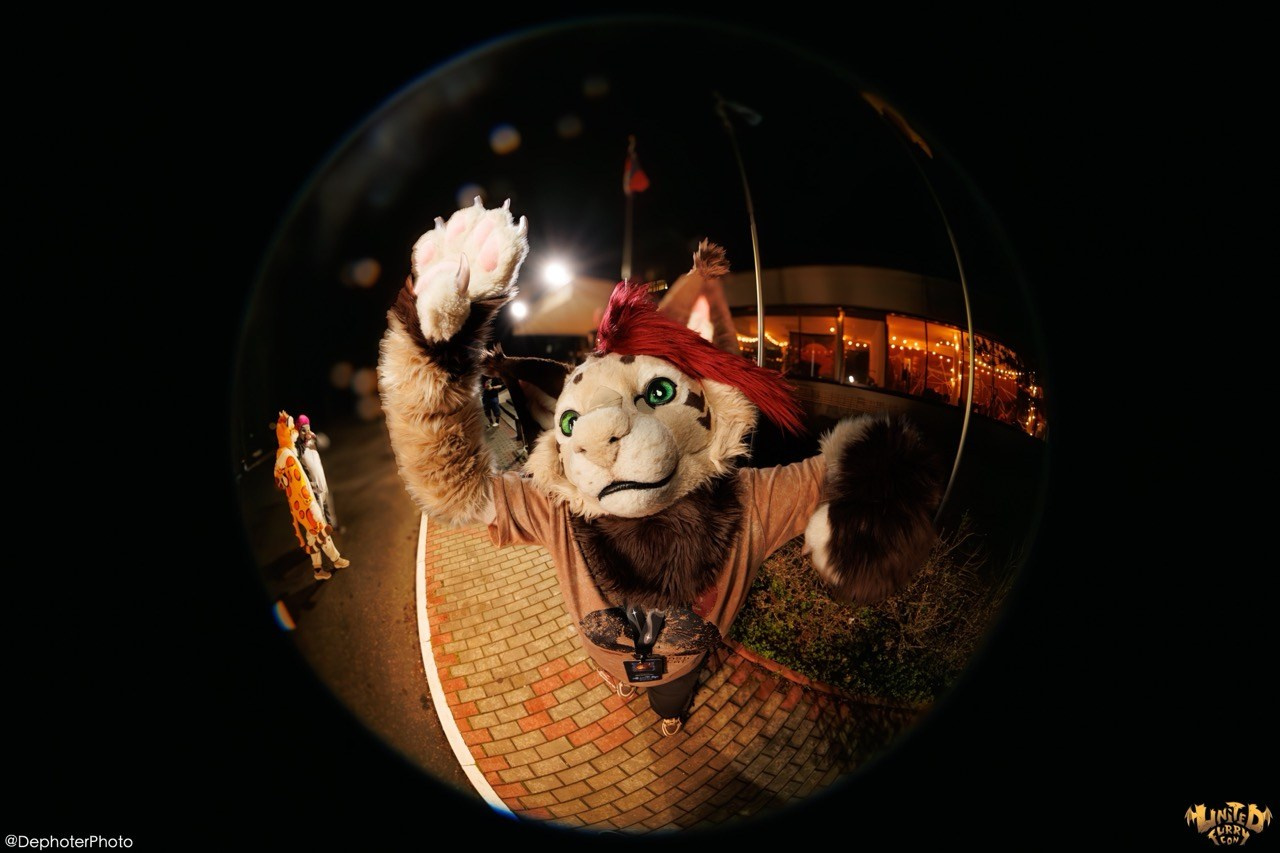 United Furry Convention 2026. Различные мероприятия и просто фотографии людей