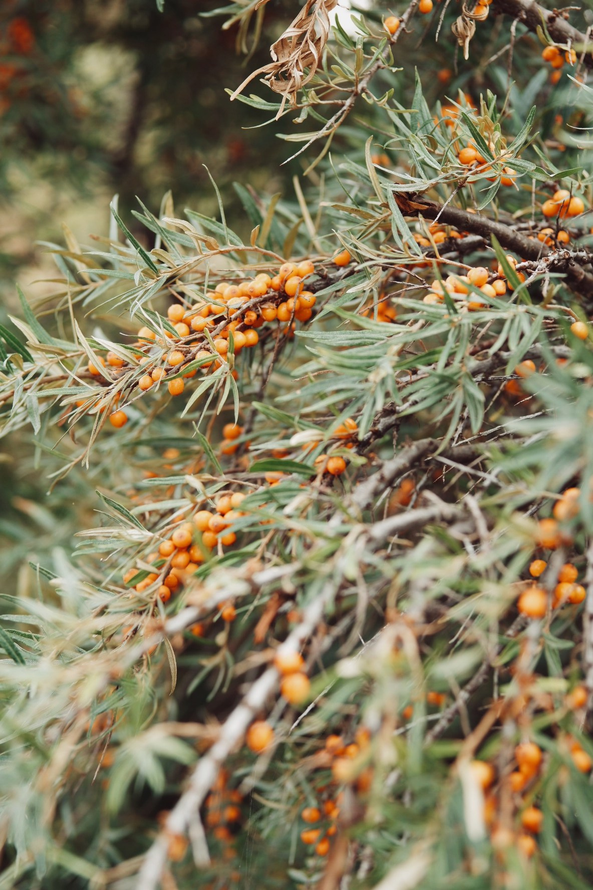Кино backstage. Свадебный и портретный фотограф в Калининграде