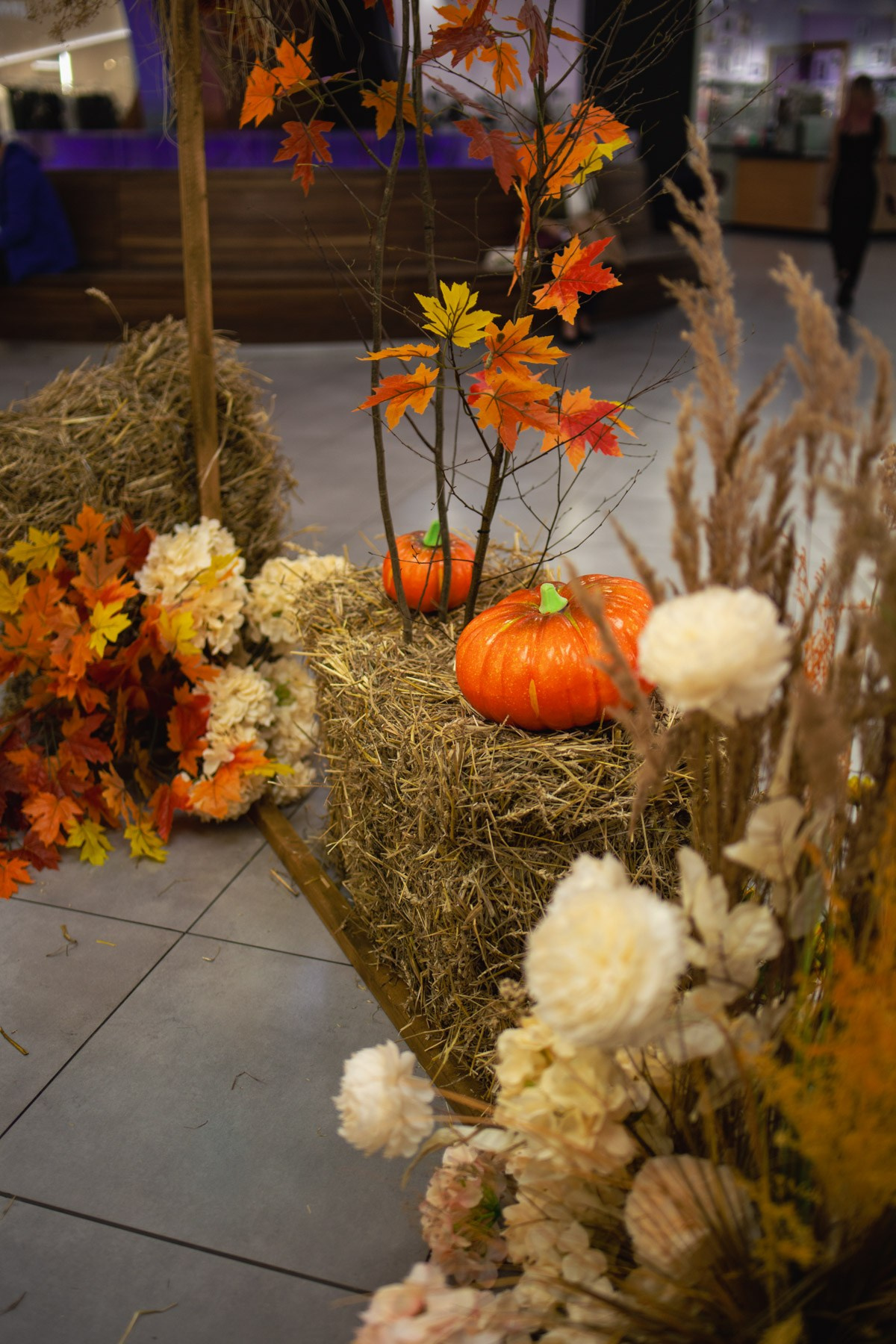 Осеннее чаепитие в ТЦ Хорошо!. Репортажный и концертный фотограф в Москве Анастасия Осень