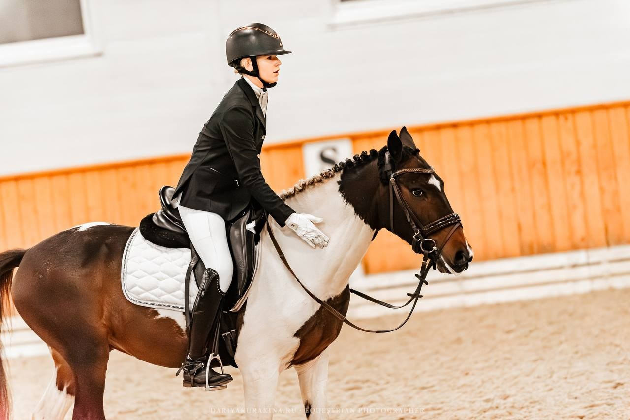 ЗОЛОТАЯ ОСЕНЬ КСК «КОНКОРД», ВЫЕЗДКА. Конный фотограф Куракина Дарья • Фотосессии с лошадьми