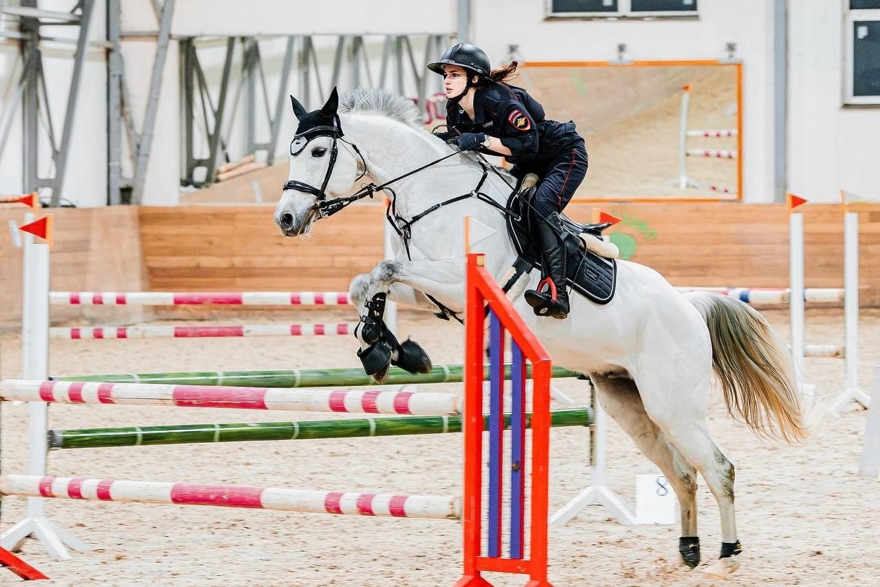 НОВЫЙ ГОД В КСК «АЛМАЗОВО», КОНКУР. Куракина Дарья • Конный фотограф