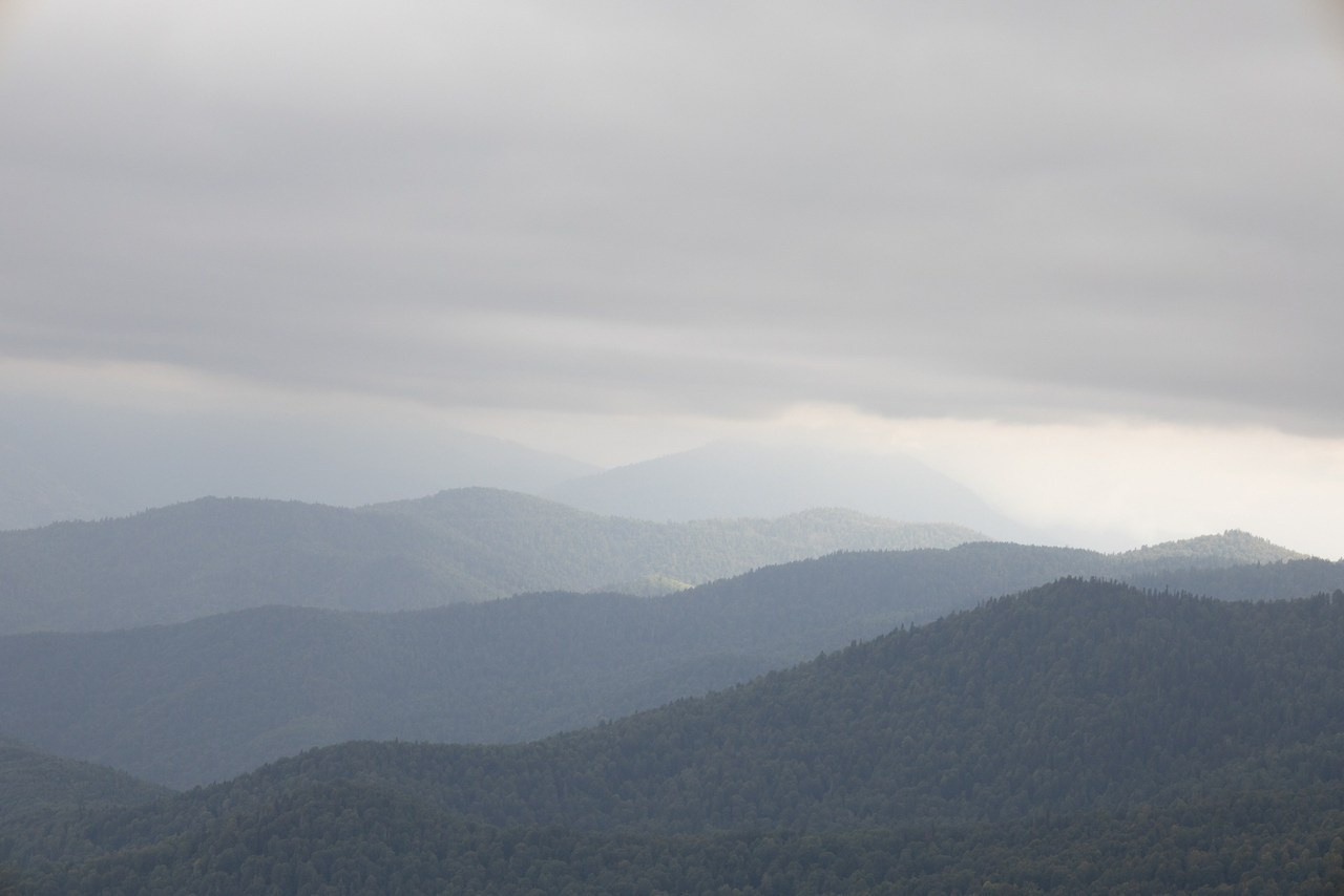 Отзывы. Фотограф katya_vkadre Таганрог