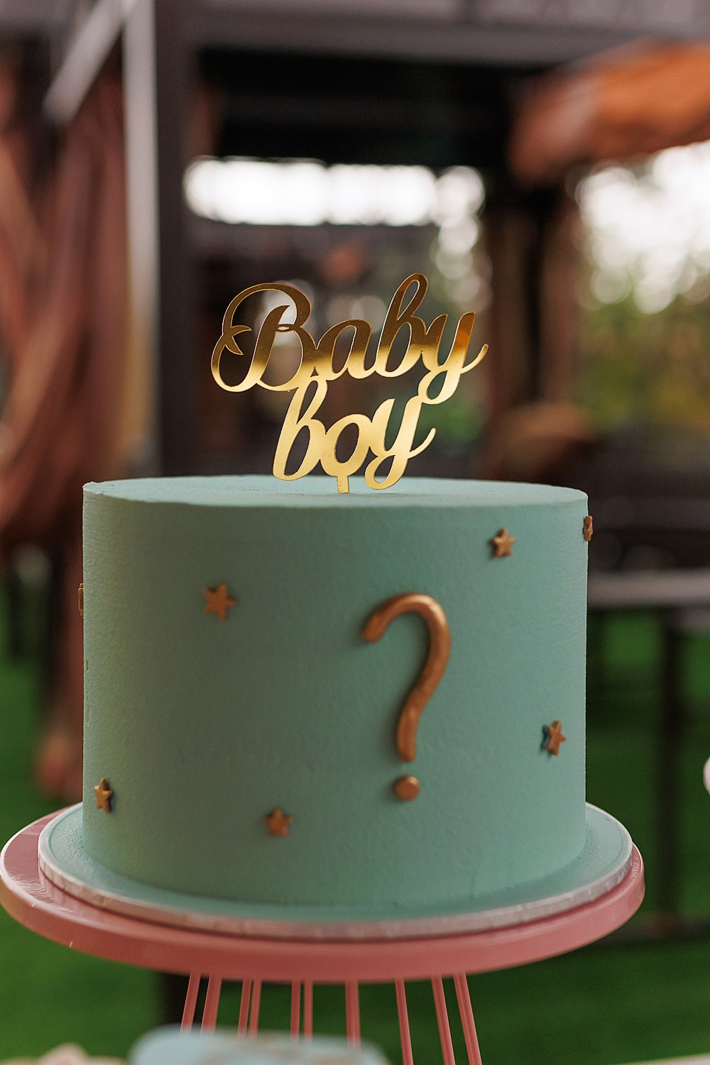 Olesya & Jim. Photographer Mikulskaya Iryna