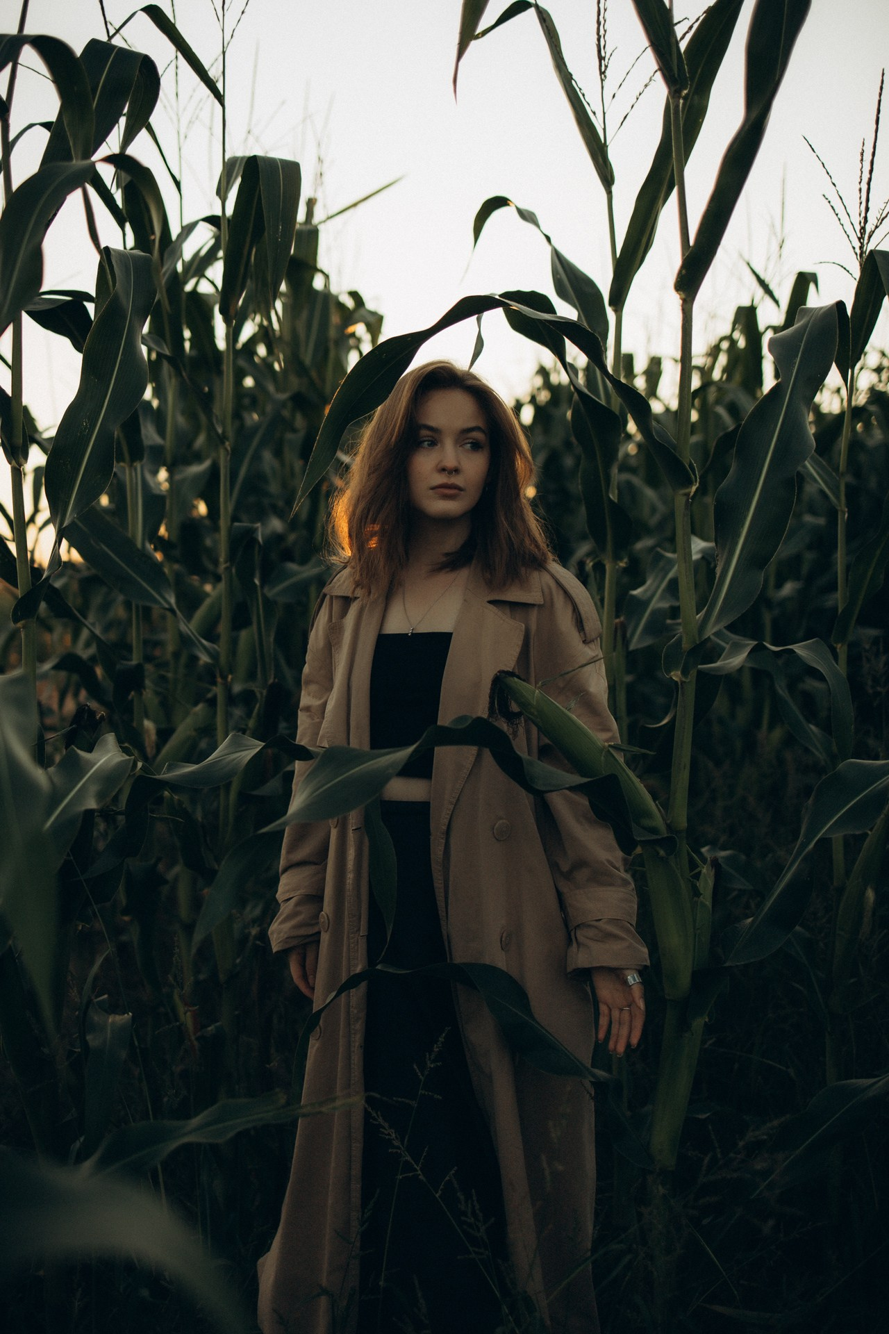 Фотосессия в кукурузном поле. Кристина. Семейный фотограф в Ижевске Даша Денисова