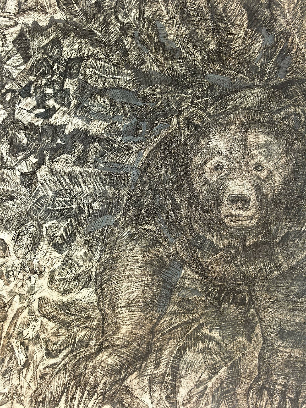 Медведь. Художник и гид по Камчатке Евгений Чайкин