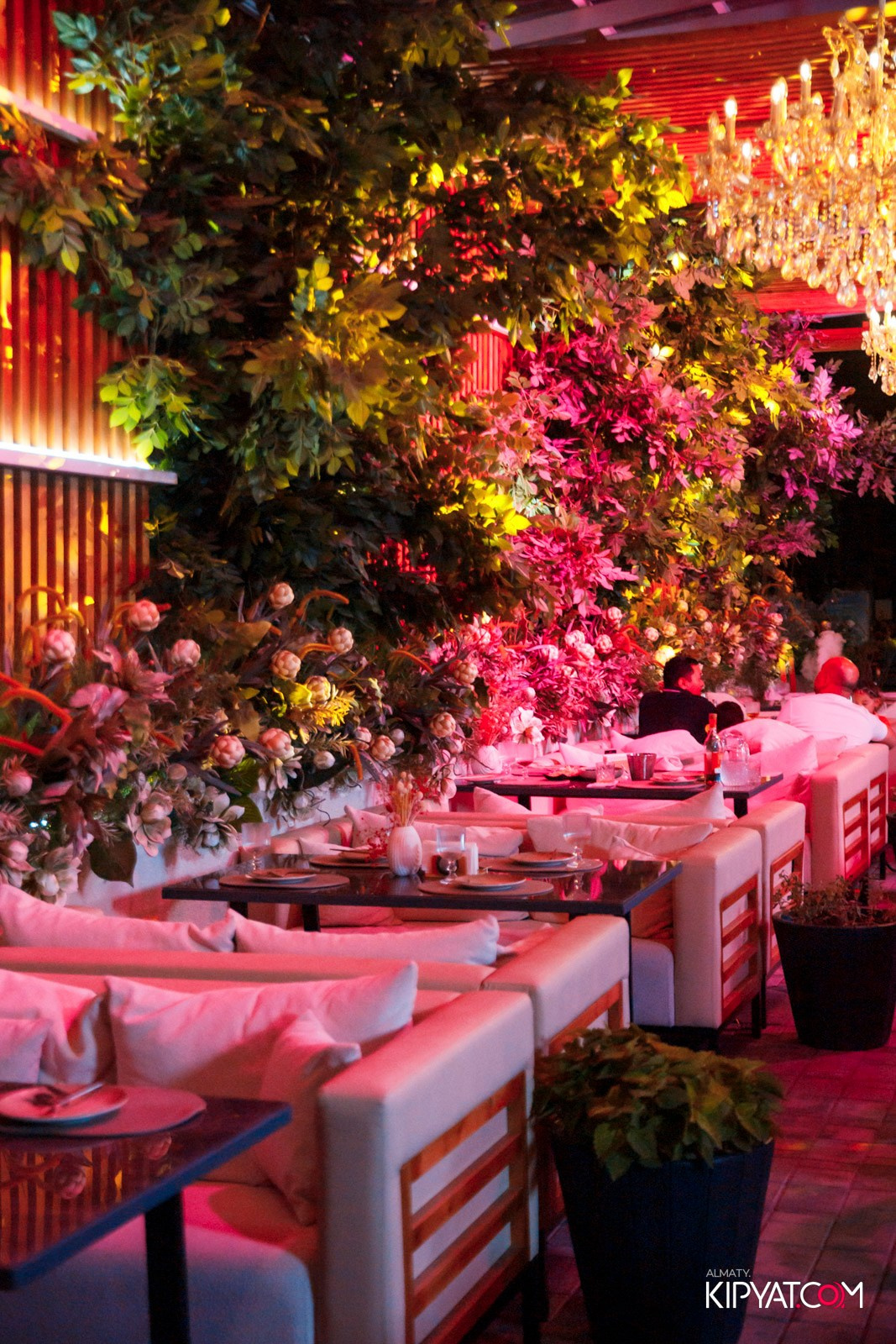 FRIENDS BAR & TERRACE. КИПЯТКОМ АЛМАТЫ! Фотосъемка мероприятий в Алматы