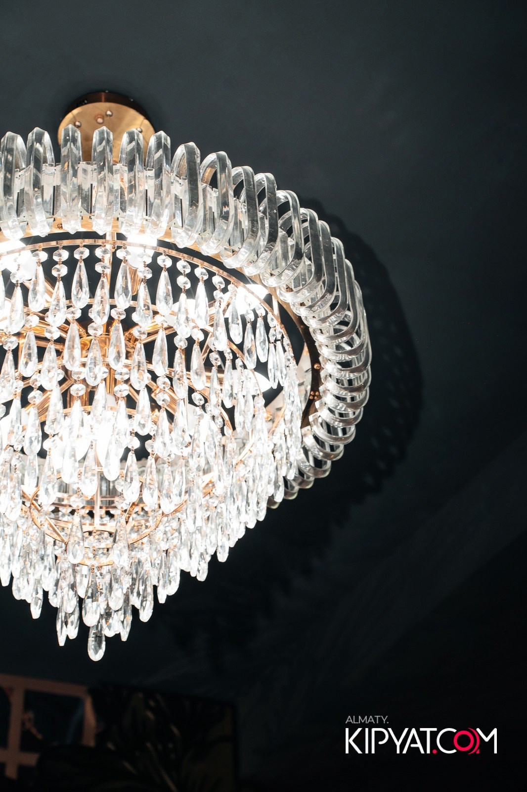 УХО И МЕДВЕДЬ НА КУРМАНГАЗЫ. КИПЯТКОМ АЛМАТЫ!