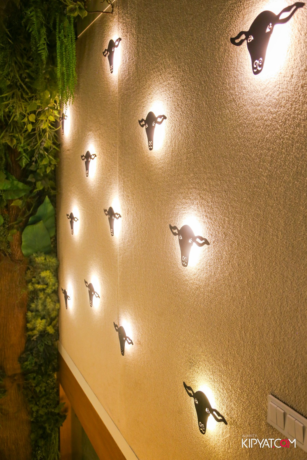 MODI RESTORANCHIK. КИПЯТКОМ АЛМАТЫ! Фотосъемка мероприятий в Алматы