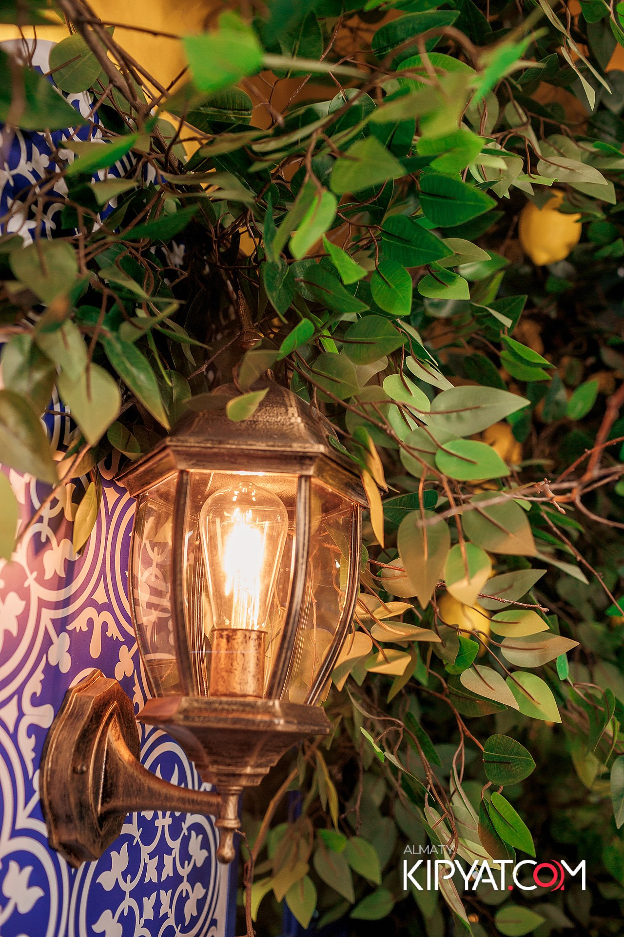 УХО И МЕДВЕДЬ НА ГАГАРИНА. КИПЯТКОМ АЛМАТЫ!