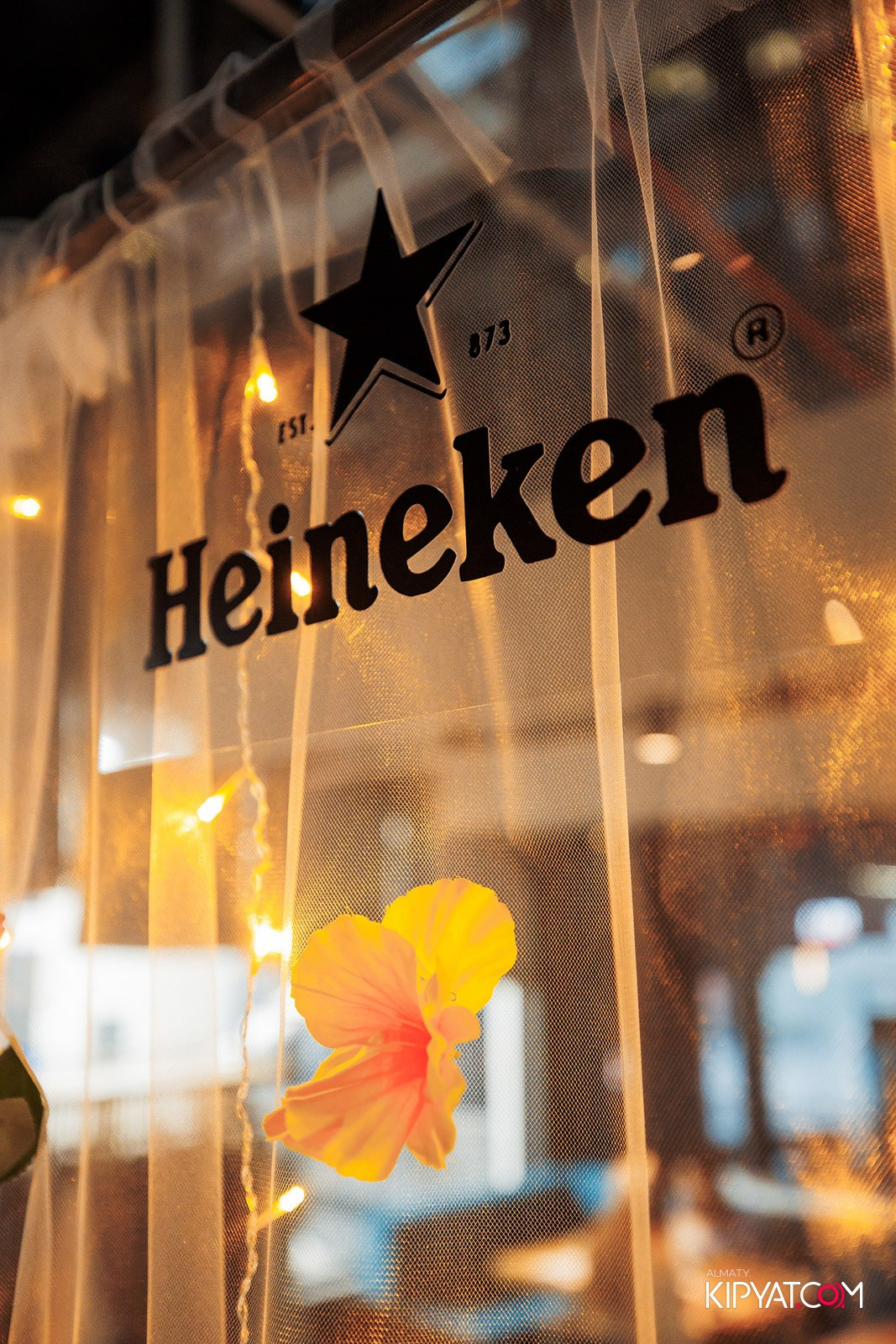 ПИНТА НУРЛЫ-ТАУ. КИПЯТКОМ АЛМАТЫ!