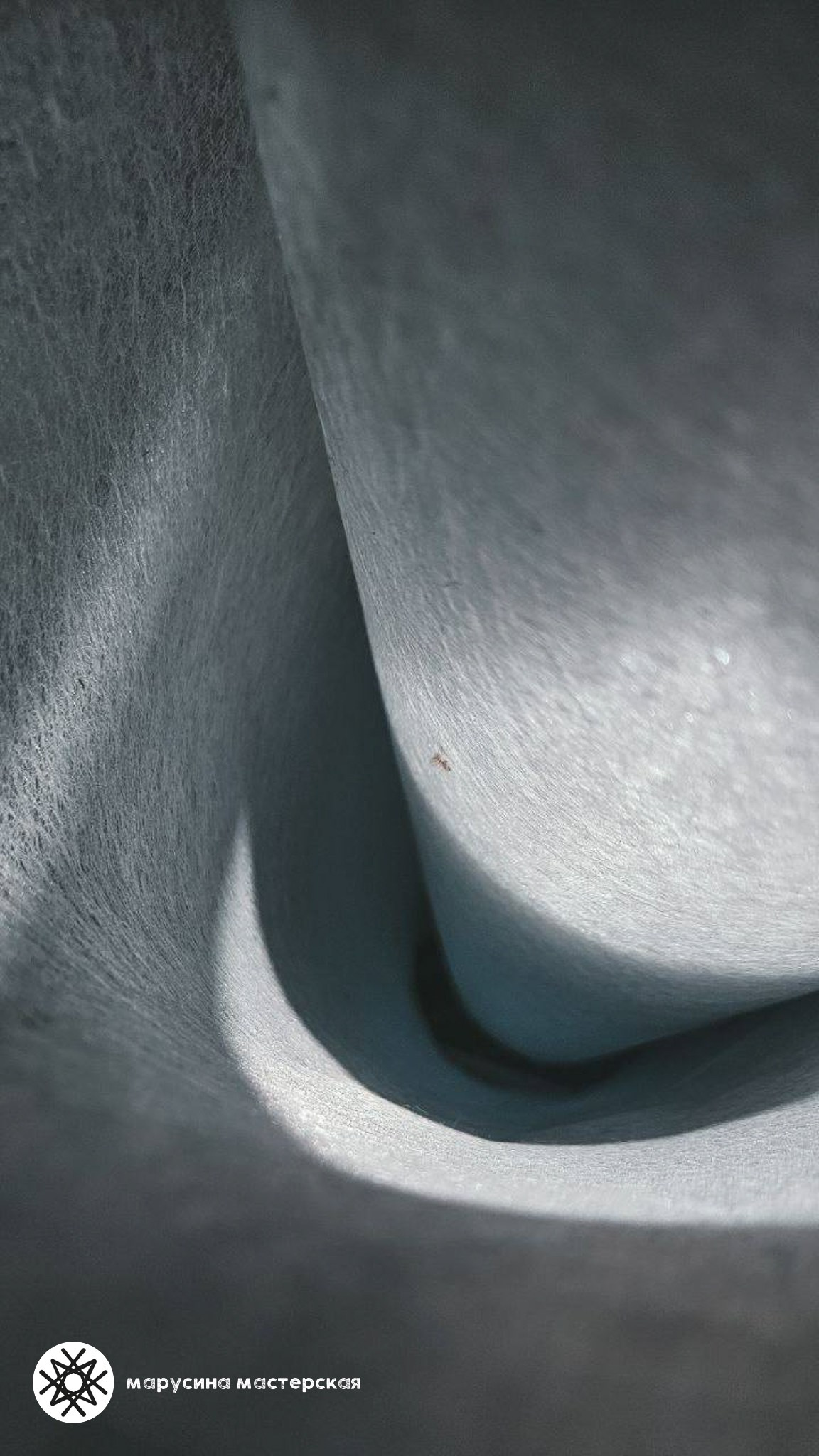 Ирина Липкина