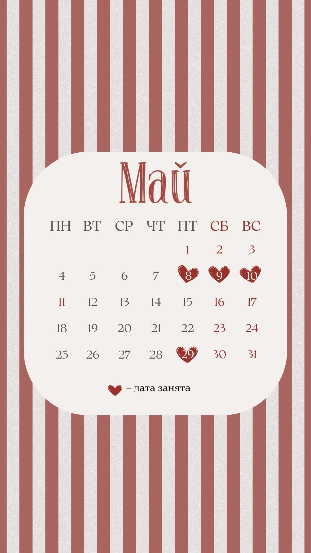 Окошки для записи. Фотограф анималист Анастасия Пикей