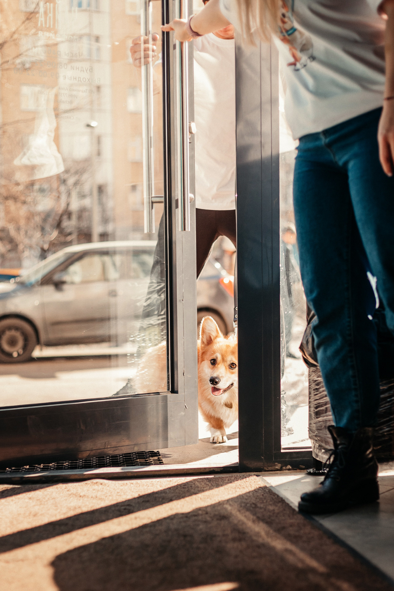 Ксения и Бадди. Фотограф-анималист Елена Радченко, Москва