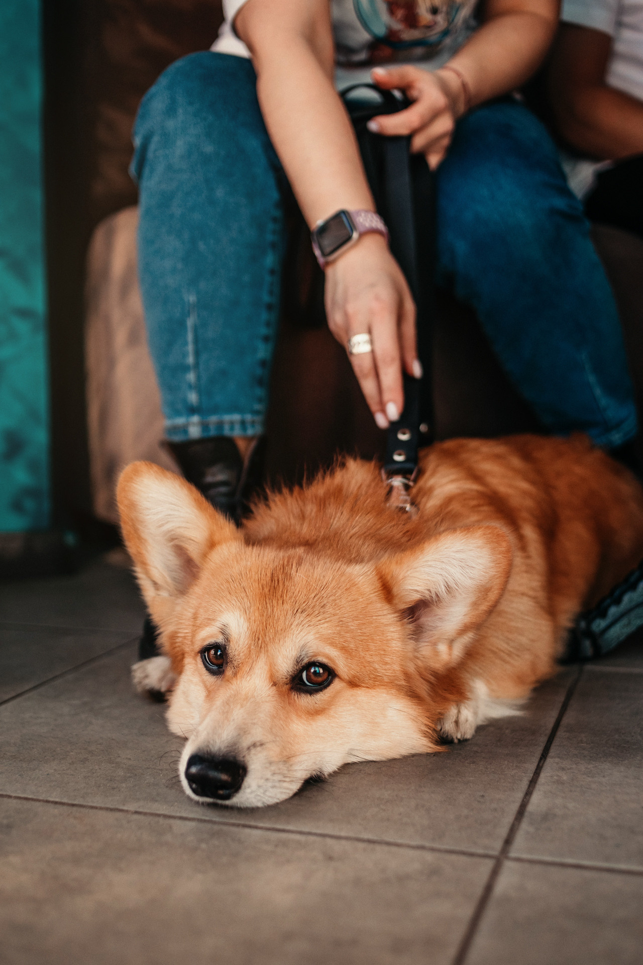 Ксения и Бадди. Фотограф-анималист Елена Радченко, Москва