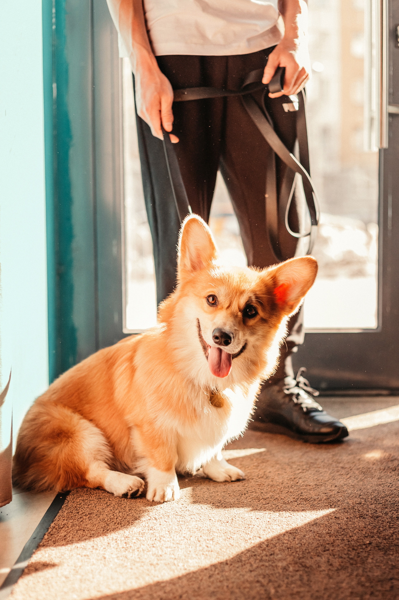 Ксения и Бадди. Фотограф-анималист Елена Радченко, Москва