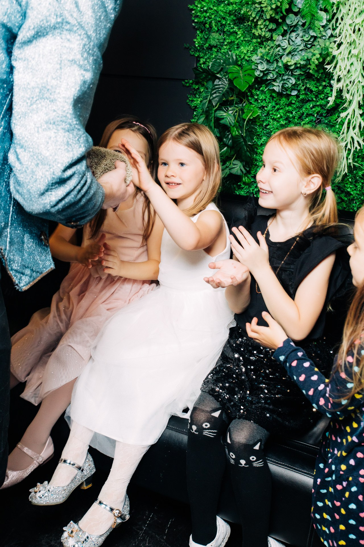 День Рождения. Фотограф Перминов Никита СПБ