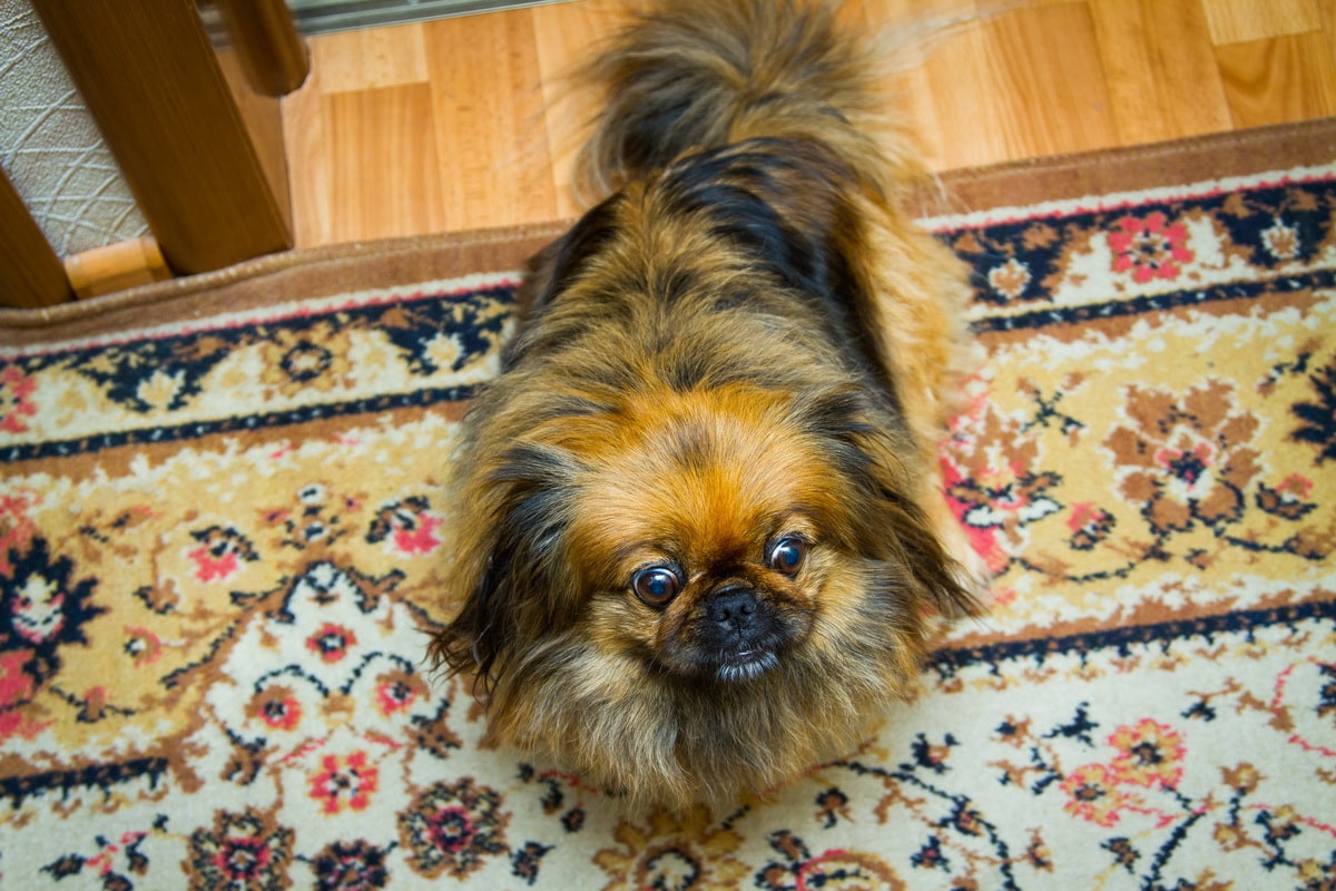 Гости. Свадебный фотограф в Москве и Московской области — Олег Лужецкий