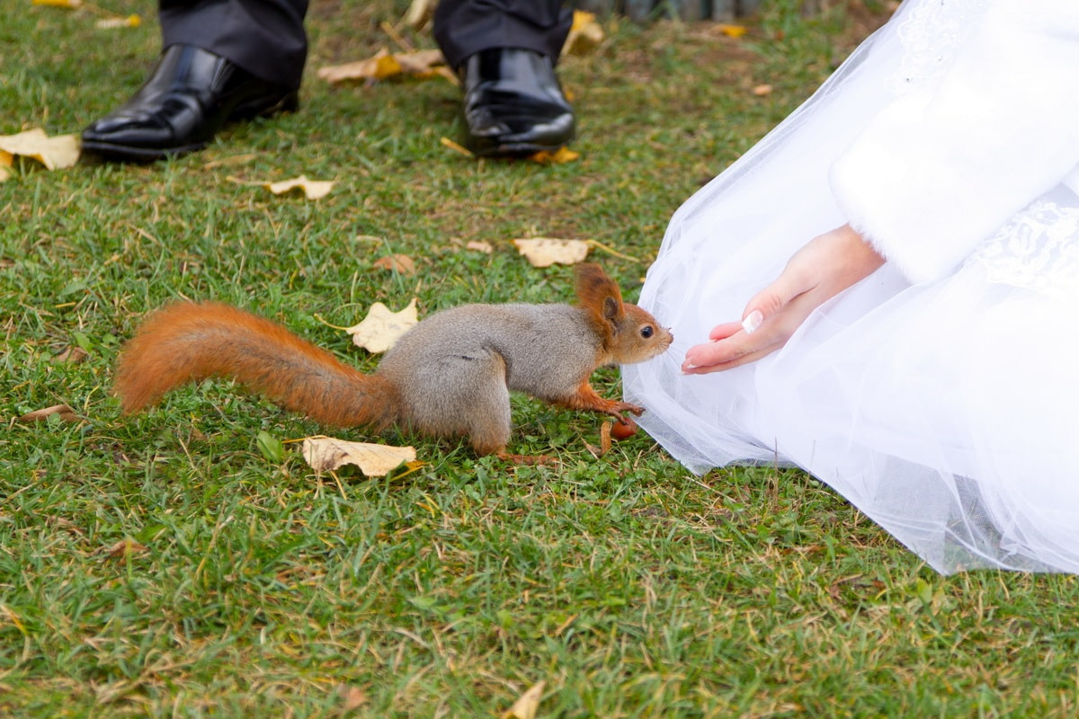 Гости. Свадебный фотограф в Москве и Московской области — Олег Лужецкий