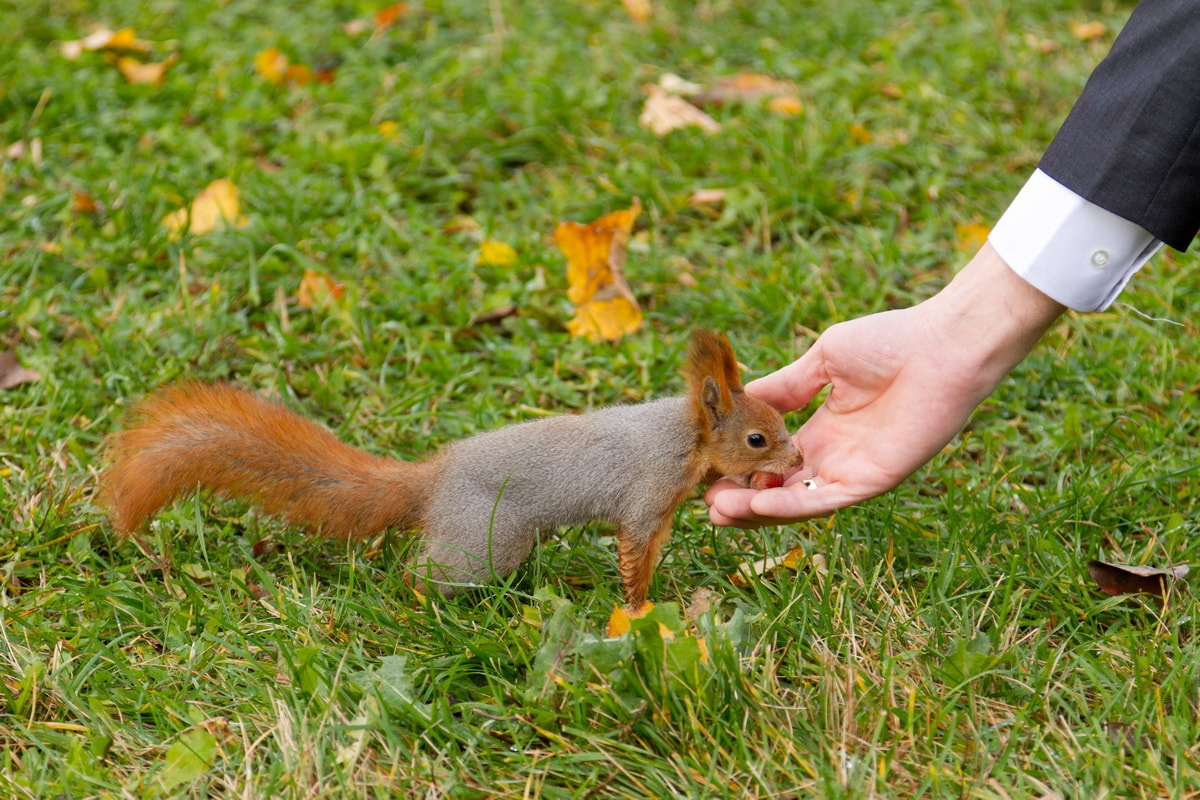 Гости. Свадебный фотограф в Москве и Московской области — Олег Лужецкий