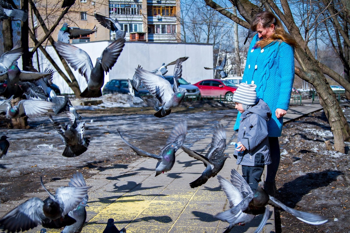 Фотосессии. Свадебный фотограф в Москве и Московской области — Олег Лужецкий