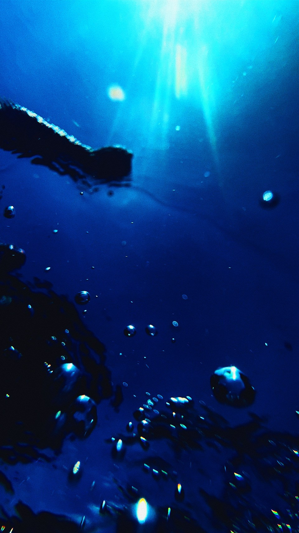 With open eyes. Carolinetru