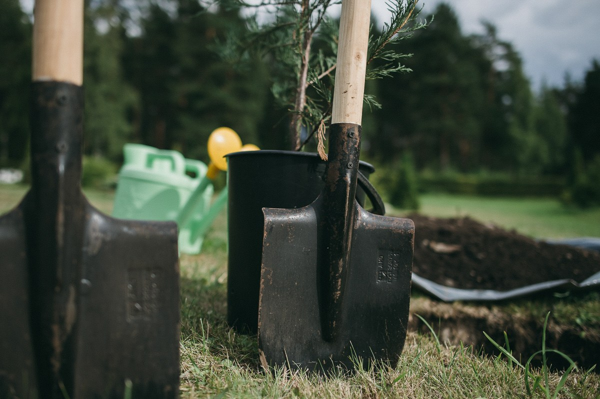Tim & Julia. Свадебный фотограф в Петрозаводске Сергей Кокорев