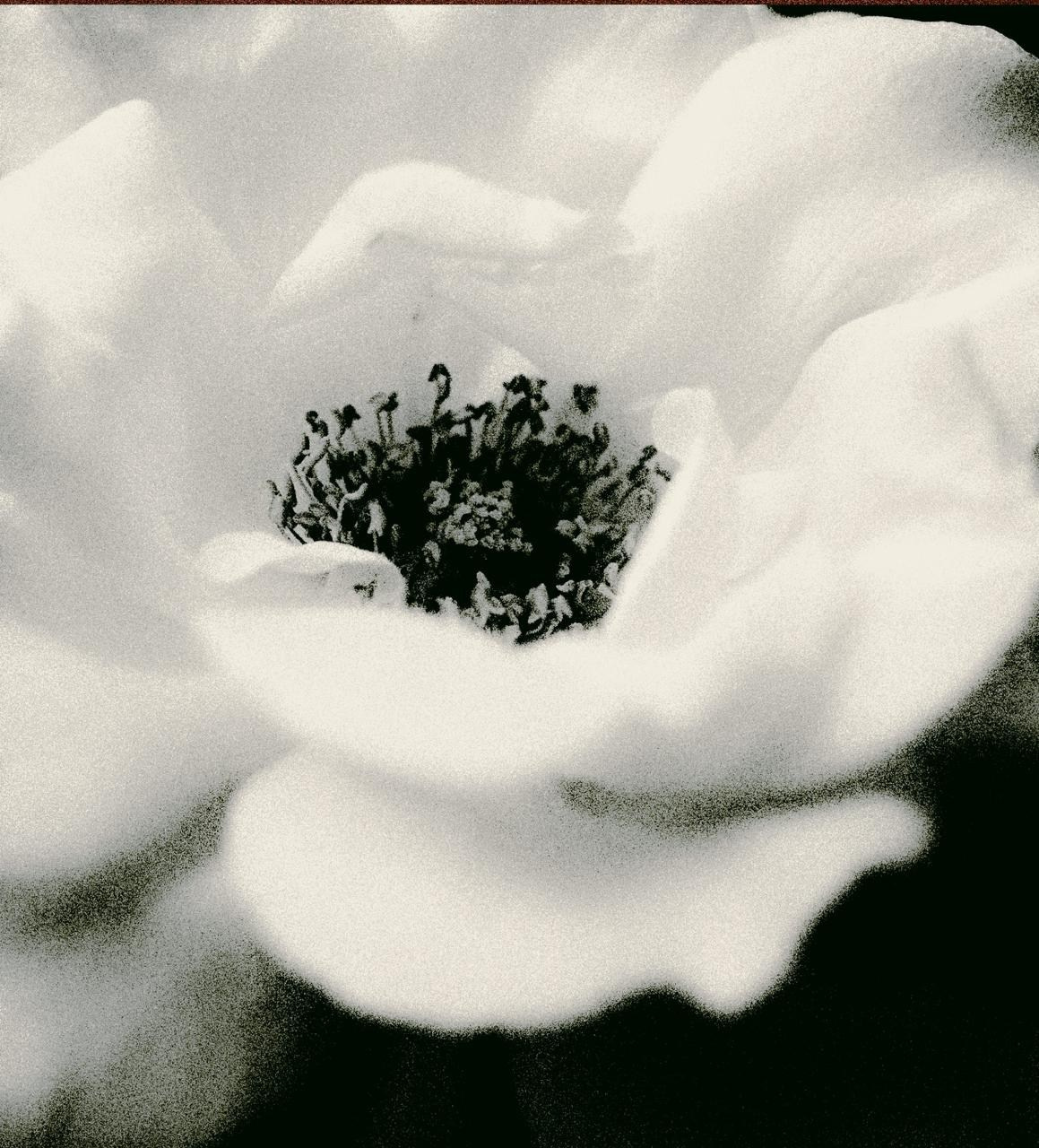 RANDOM. Nik Paustovskiy photography