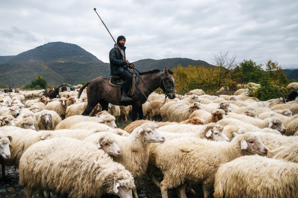 Travel блогер из Беларуси. Andrei Bortnikau photographer in Tbilisi, Georgia