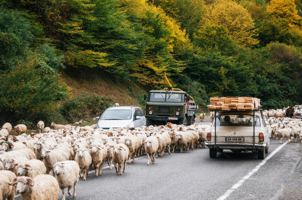 Travel блогер из Беларуси. Andrei Bortnikau photographer in Tbilisi, Georgia