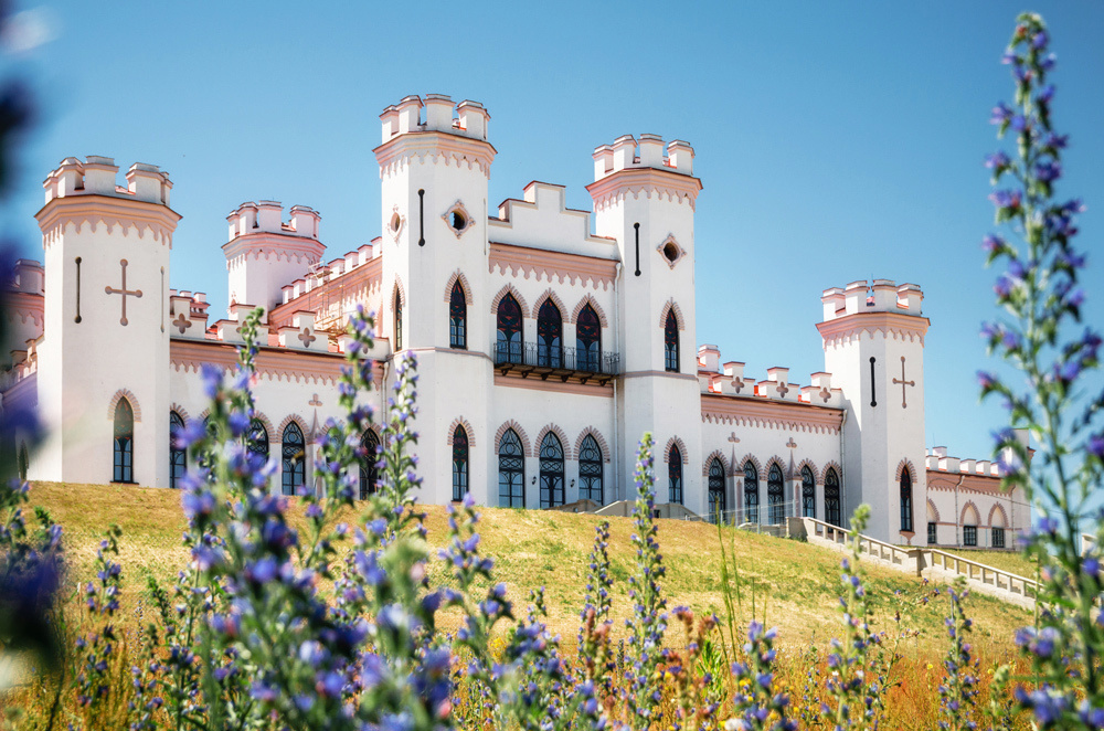 The View to The Puslowski palace through lavandula flowers in Kosava in summertime, Belarus