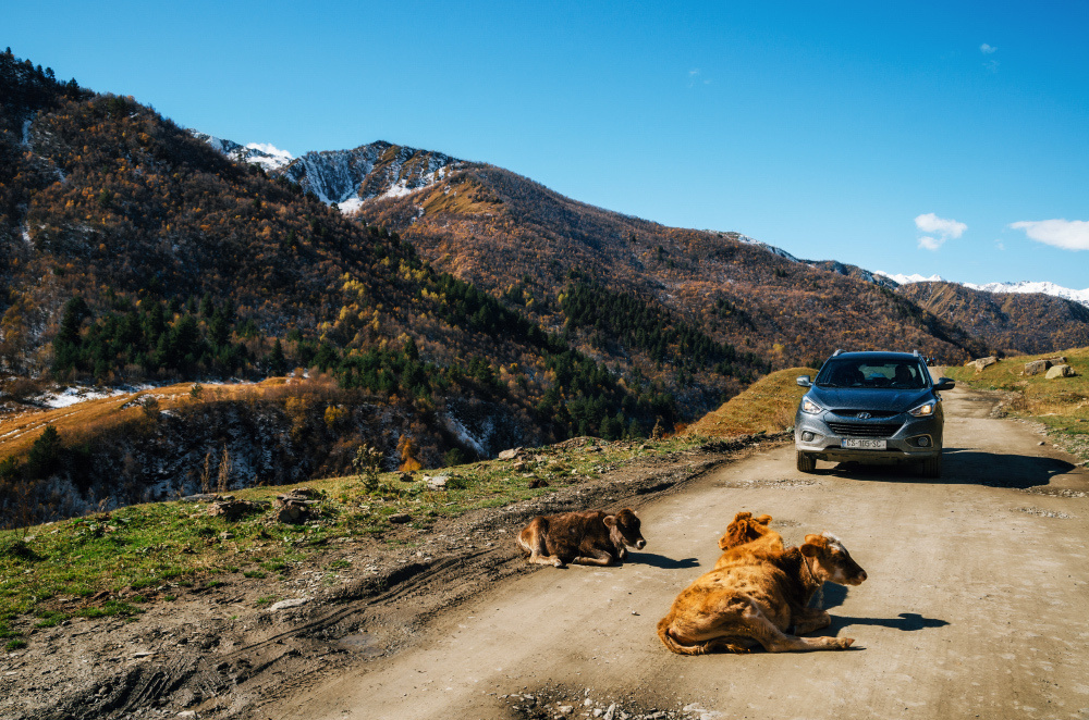 Travel блогер из Беларуси. Andrei Bortnikau photographer in Tbilisi, Georgia