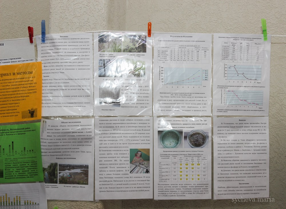 Детско-юношеская экологическая научная конференция. Детский и семейный фотограф, фотограф мероприятий Нижний Новгород