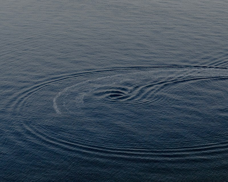 О книге «Thinking Like An Island» (Gabriele Chiapparini & Camilla Marrese). Private image