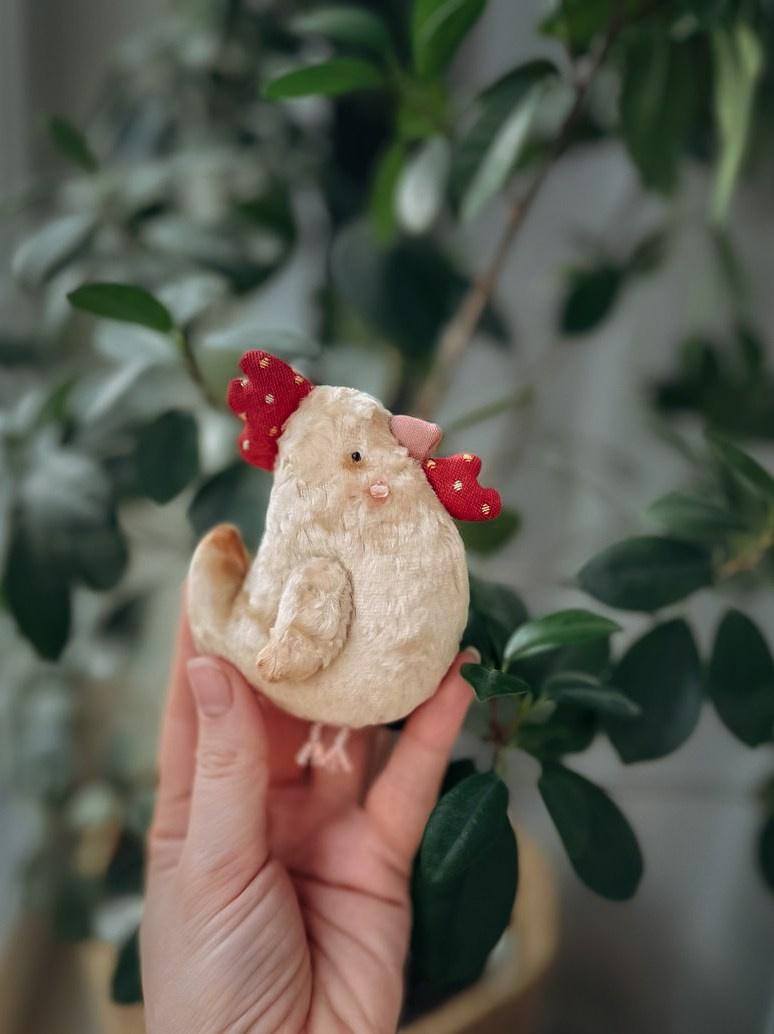 Тедди. Фотограф Ольга Сальманович