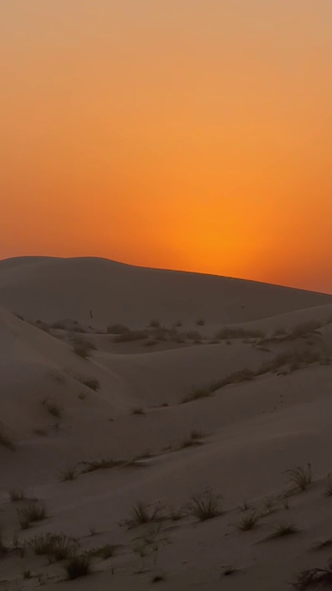 Видео портрет. Фотограф и видеограф в Москве и Абу Даби Мария Кулагина
