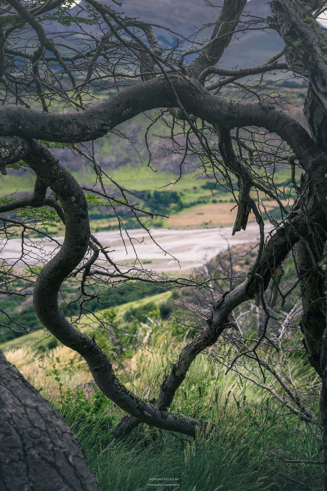 Патагония. Авторские стильные фотокартины