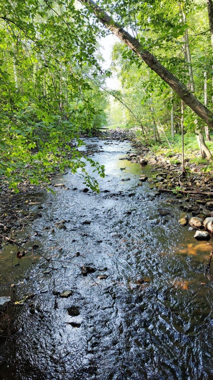 Карелия | 16-18.08.24. Галерея Фантим